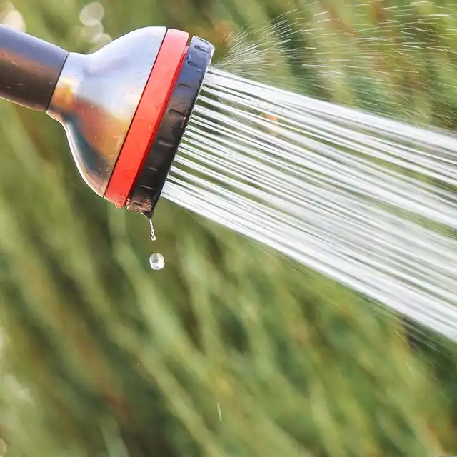 Wasserqualität in Sarstedt Waldhausen